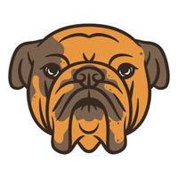 Bull Dog Head Vector Illustration