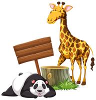 Panda und Giraffe am Schild vektor