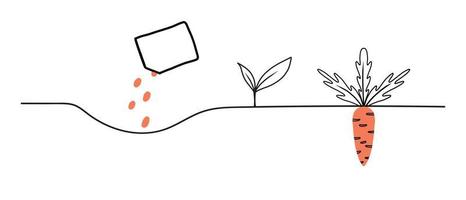 Wachstumsstadien der Karotte. Lebenszyklus einer Karottenpflanze. Anweisungen zum Pflanzen von Karotten. Vektorillustration im Doodle-Stil isoliert auf weißem Hintergrund vektor
