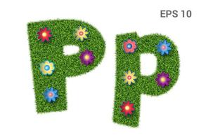 pp - Groß- und Großbuchstaben des Alphabets mit einer Grastextur. maurischer Rasen mit Blumen. isoliert auf weißem Hintergrund. Vektor-Illustration vektor