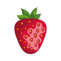 färsk jordgubbsfrukt vektor