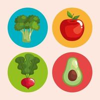 hälsosam mat fyra grönsaker vektor