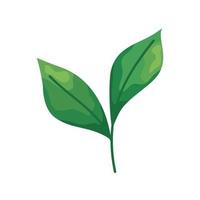 Ökologie Blätter Pflanze vektor