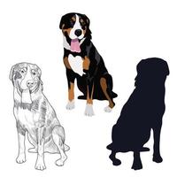 schweizisk fjällhund i tre olika stilar. vektor