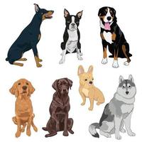 Sammlung von sitzenden Hunden isoliert auf weißem Hintergrund. vektor