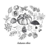 höstens botaniska skisser isolerad på vit bakgrund. vektor