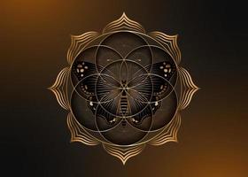 Samenblume des Lebens Lotus-Symbol und schwarzer magischer Schmetterling, heilige Geometrie des Yantra-Mandala, goldenes Symbol für Harmonie und Gleichgewicht. mystischer talisman, goldlinienvektor lokalisiert auf altem dunklem hintergrund vektor