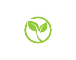 Logoer av grönt blad ekologi naturelement vektor