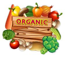 Organiskt tecken med färska grönsaker vektor
