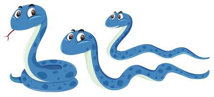 Eine Reihe von blauen Schlange vektor