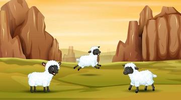 Drei Schafe spielen auf dem Feld vektor