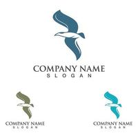 Seagull logotyp design, teman, mallar grafiska element vilda djur vektor