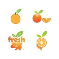 Orangenfrucht-Logo vektor