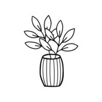 Blumen in einer Vase Doodle handgezeichnete Umrisse Symbol oder Symbol. dekorative blumenhauspflanzenskizze. isolierte Vektorillustration vektor