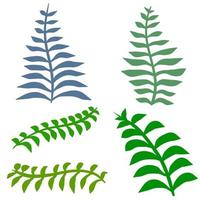 ormbunksblad. inslag av natur och skog. grön bracken växt vektor