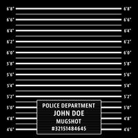 Polizei Fahndungsfoto Hintergrund vektor