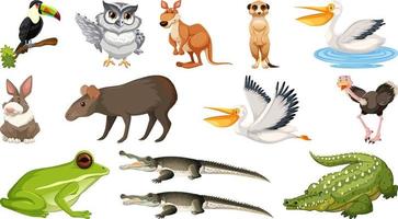 uppsättning av olika vilda djur vektor
