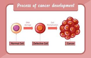 process för cancerutveckling infographic vektor