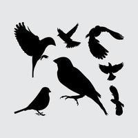 sparv fågel örn albatros siluett set logotyp ikon vektor design inspiration