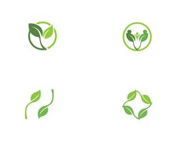 gröna blad ekologi naturelement vektor ikoner
