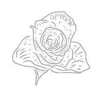 Blumenillustration im Linienstil vektor