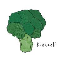 Brokkoli auf weißem Hintergrund. hand gezeichneter gemüsevektor. Cartoon-Gemüse. Vektor-Illustration. Geschenkpapiermuster.