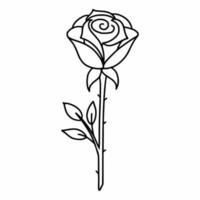 Rose auf weißem Hintergrund. Vektor-Doodle-Illustration. schöne Blume. Postkartendekorelement. vektor