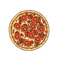 pizza isolierte illustration vektor