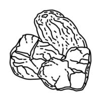 Symbol für Poria-Pilze. Gekritzel handgezeichnet oder Umriss-Icon-Stil. vektor