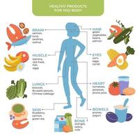 gesundes essen für das konzept des menschlichen körpers mit weiblicher silhouette. gesunde ernährung infografiken. Essen und Trinken für die gute Funktion der inneren Organe. Vektor flache Abbildung.