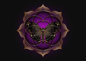Samenblume des Lebens Lotus-Symbol und schwarzer magischer Schmetterling, heilige Geometrie des Yantra-Mandala, goldenes Symbol für Harmonie und Gleichgewicht. mystischer Talisman, Goldlinienvektor einzeln auf violettem Hintergrund