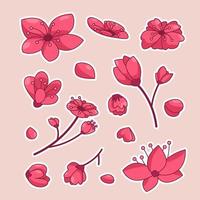 Sammlung von Kirschblütenaufklebern vektor