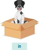 preposition ordkort med hund i låda vektor