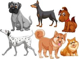 uppsättning av olika söta hundar i tecknad stil vektor