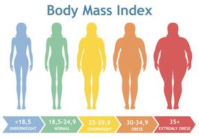 Kroppsmassindex vektor illustration från undervikt till extremt fetma. Kvinna silhuetter med olika fetma grader.