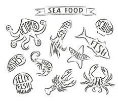 Seafood handritade vektor illustrationer isolerad på vit bakgrund, element för restaurang meny design, inredning, etikett. Grunge konturer av havsdjur med namn.