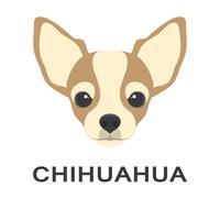 Vektor illustration och chihuahua hund i platt stil. Chihuahua platt ikon.