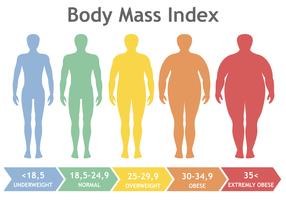 Body Mass Index-Vektorillustration von Untergewicht zu extrem beleibtem. Mannschattenbilder mit verschiedenen Korpulenzgraden. Männlicher Körper mit unterschiedlichem Gewicht. vektor