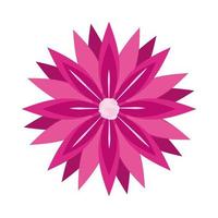 vacker blomma med rosa kronblad vektor