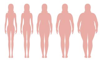 Body Mass Index-Vektorillustration von Untergewicht zu extrem beleibtem. Frauenschattenbilder mit verschiedenen Korpulenzgraden. Weiblicher Körper mit unterschiedlichem Gewicht. vektor