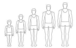 Die Körperproportionen des Menschen ändern sich mit dem Alter. Körperwachstumsstadien des Jungen. Vektor Kontur Abbildung. Alterungskonzept. Illustration mit dem Alter des unterschiedlichen Mannes von Baby zu Erwachsener. Europäische Männer flachen Stil.