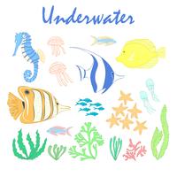 Set av undervattensdesignelement. Havsfisk. Vektor designelement havsfisk, koraller och sjögräs. Undervattensuppsättning. Sea life design elements.Set av havsdjur. Undervattens vektor uppsättning. Havsfisk set.