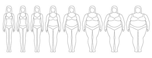 Vektor illustration av kvinnans silhuetter med olika vikt från anorexi till extremt fetma. Body mass index, viktminskning koncept.