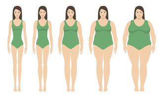 Kroppsmassindex vektor illustration från undervikt till extremt fetma. Kvinna silhuetter med olika fetma grader.