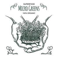 skiss av en hand som håller mikrogröna groddar i en skål. ritad för hand. ekologiskt rena växter 100 ekologiska, supermat. vektor