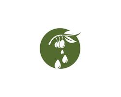 Olive Logo Vorlage Vektor Icon