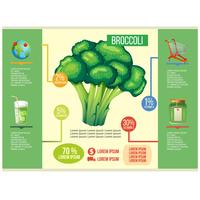 broccoli infografisk vektor