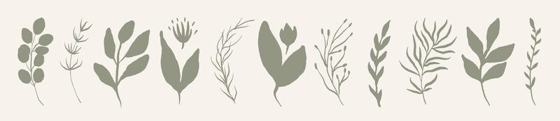 Reihe von Blättern. hand gezeichnetes dekoratives grünes blattelement. vektor