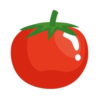 isoliertes Tomaten-Gemüse-Vektor-Design vektor