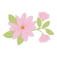 rosa Blumen mit Blattvektorentwurf vektor